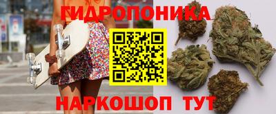 твердый Ставрополь