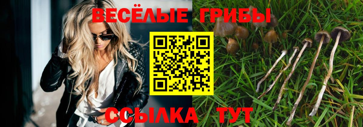 Галлюциногенные грибы прущие грибы Моздок