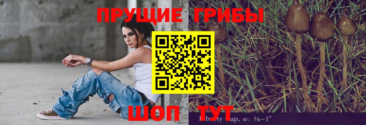 Галлюциногенные грибы Cubensis  Вход с VPN  Моздок  Псилоцибиновые грибы прущие грибы 